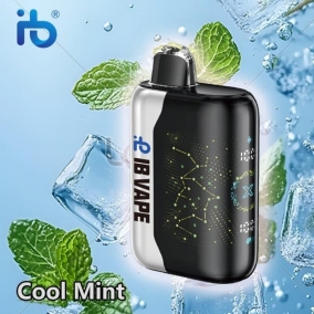 Cool Mint-35000 Puff E-Zigarette